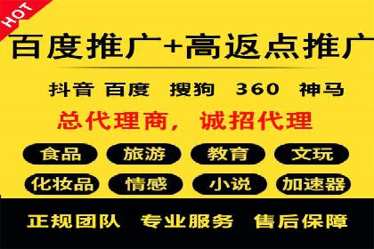 百度竞价SEM深度解析：某行业成功推广经验