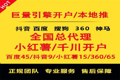 网络推广秘籍：竞价排名成功案例集锦